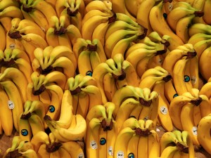 Cavendish banana