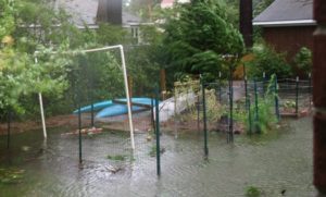 Cover photo for Webinar: Impact of Flood Water on Vegetable Garden Produce and Soil