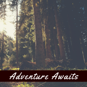 Adventure Awaits in the forest