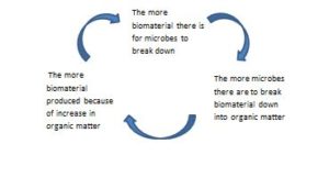 Microbe feedback image