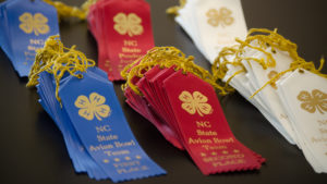 Avian bowl ribbons