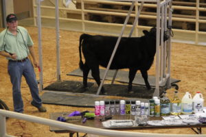 Cover photo for Gary Stamey Livestock Clinic