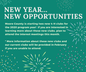 New Year.... New Opportunities 4-H Flyer