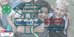summer fun announcement