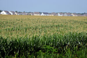 Homes bordering farmland