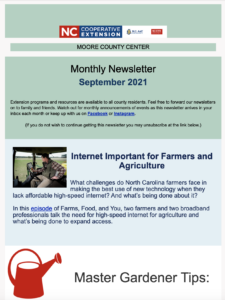 screen shot of monthly newsletter