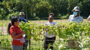 CEFS Small Farm Unit Tour