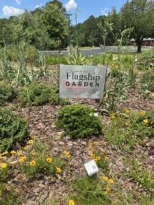 A sign that reads Flagship Garden sits in the middle of a garden of low plants.