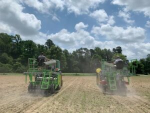 Cover photo for Precision Planted Versus Drilled Soybeans