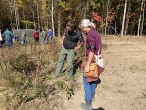 Two people look at growing plants.