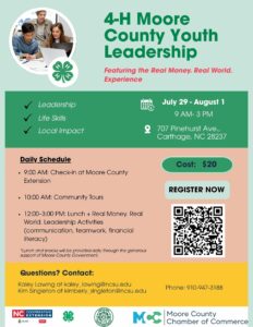 4-H MCYL flyer