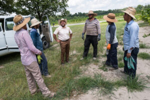 Cover photo for Farm Labor Contractor Workshop to Strengthen Agriculture Workforce in North Carolina